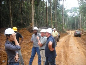 Quand la corruption dévaste les forêts