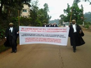 cameroun manifestation contre projet de loi pénal